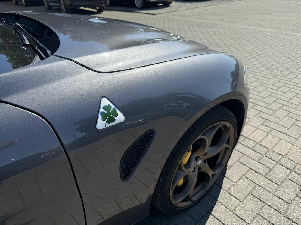 Alfa Romeo Giulia Speciale Silver #15