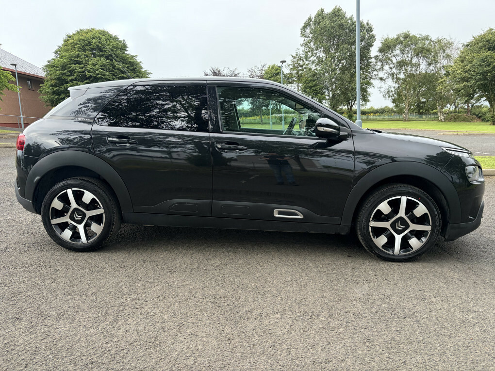 Citroen C4 Cactus Flair Blue Hdi Ss  #3
