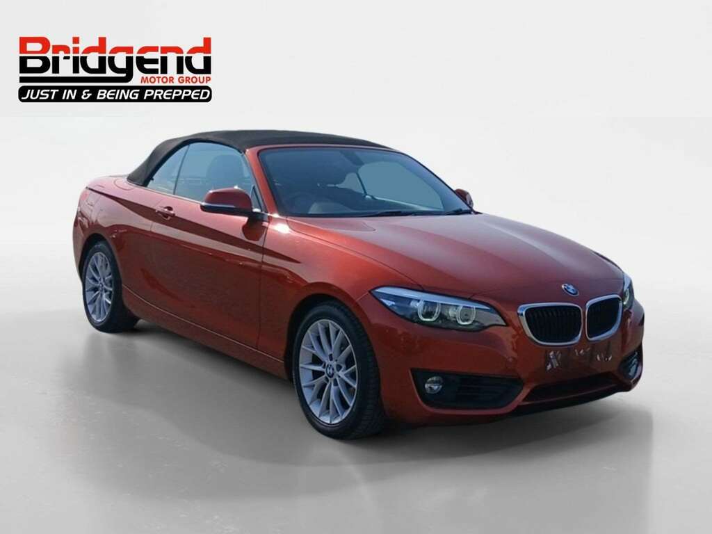 BMW 2 Series 1.5 218I Se Convertible Orange #2