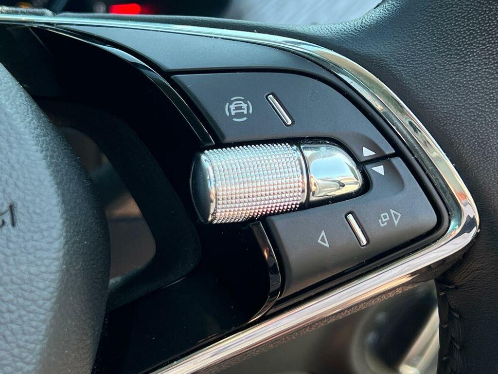 Skoda Kodiaq Grey Grey #38