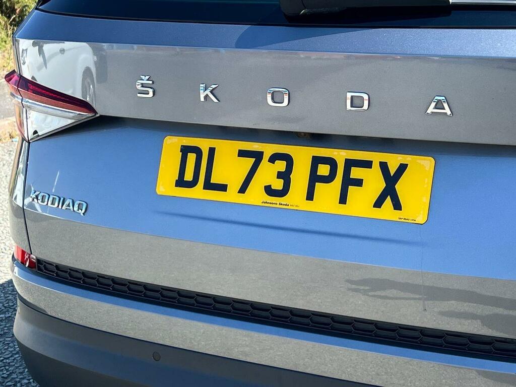 Skoda Kodiaq Grey Grey #26