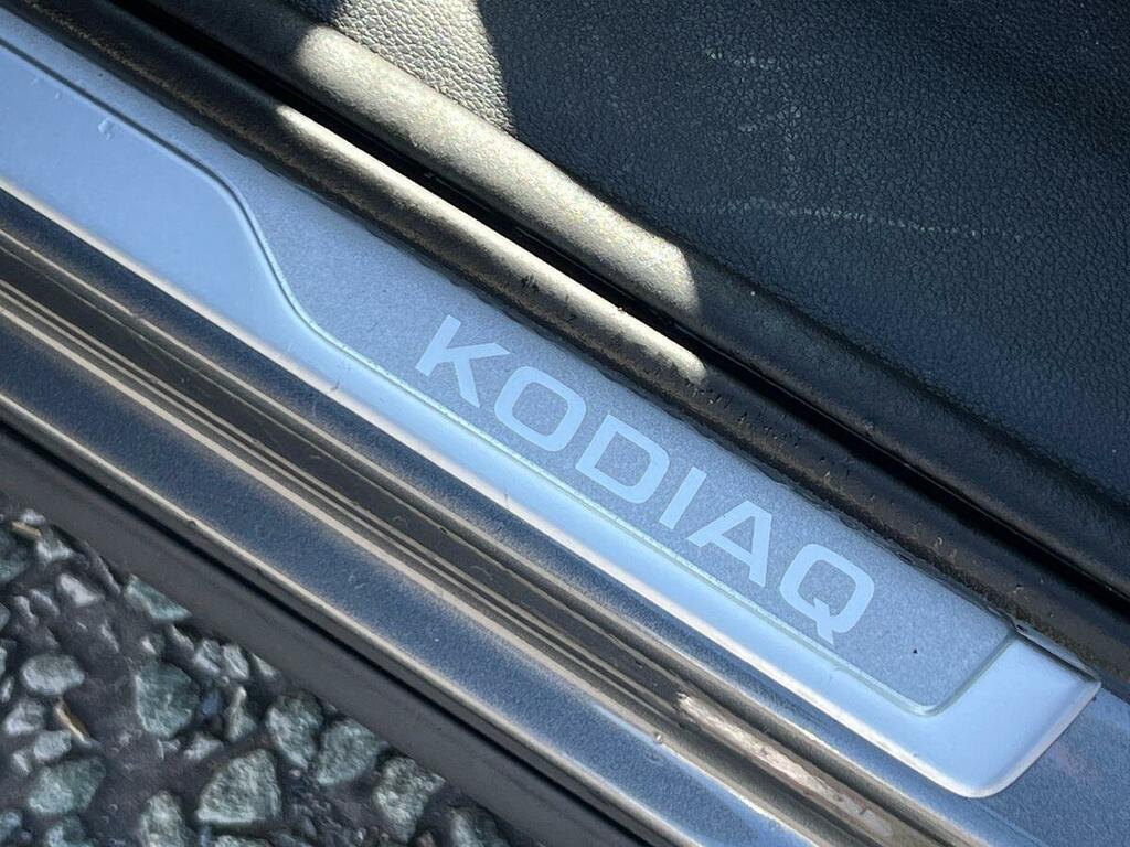 Skoda Kodiaq Grey Grey #31