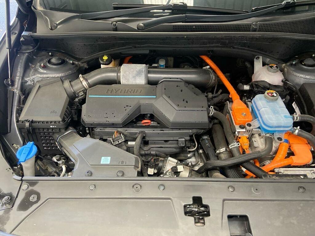 Hyundai Santa Fe Premium Brown #18
