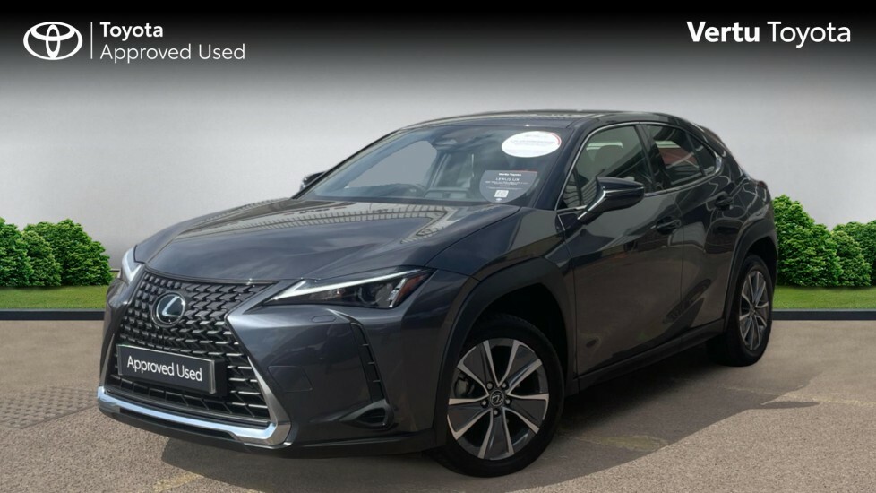 Lexus UX Urban Grey #3