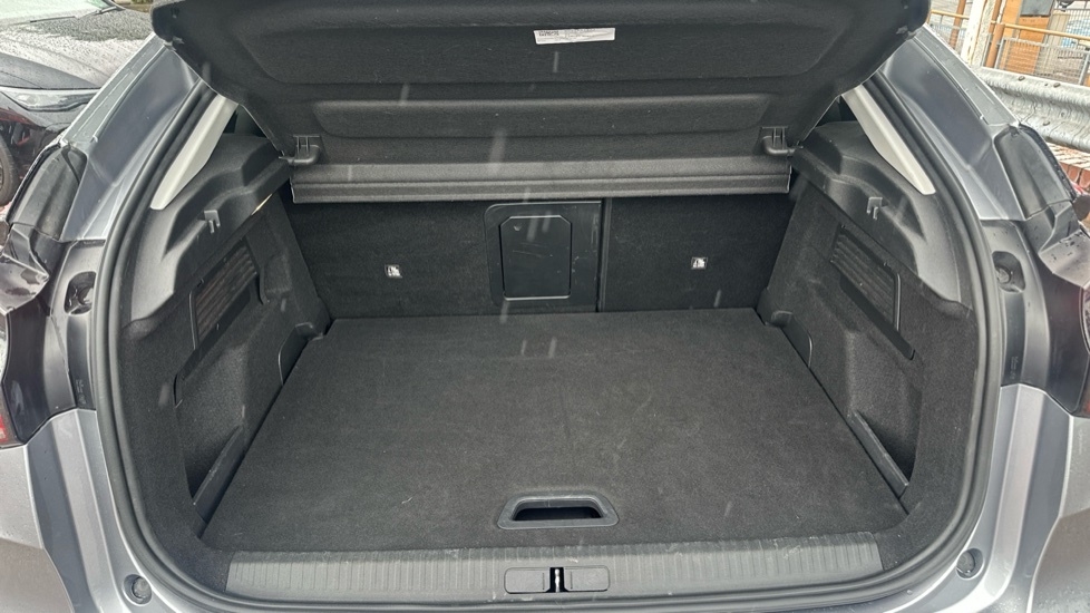 Citroen C4 Max Grey #4