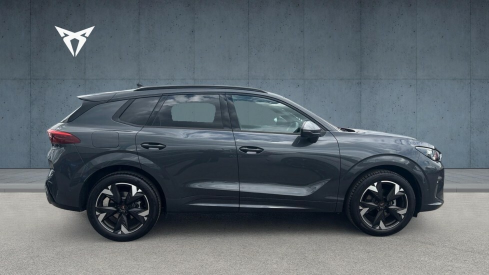 Cupra Terramar V2 Grey #4