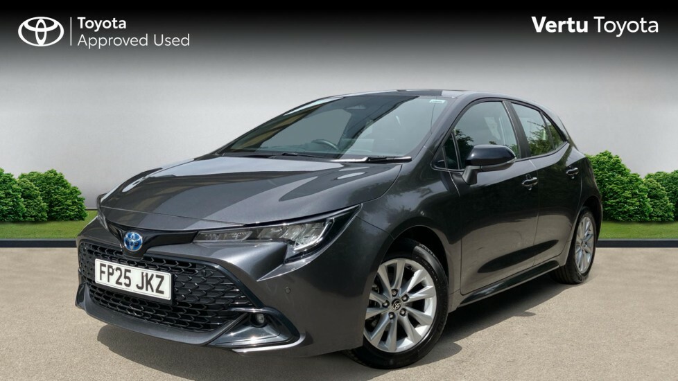 Toyota Corolla Icon Grey #3
