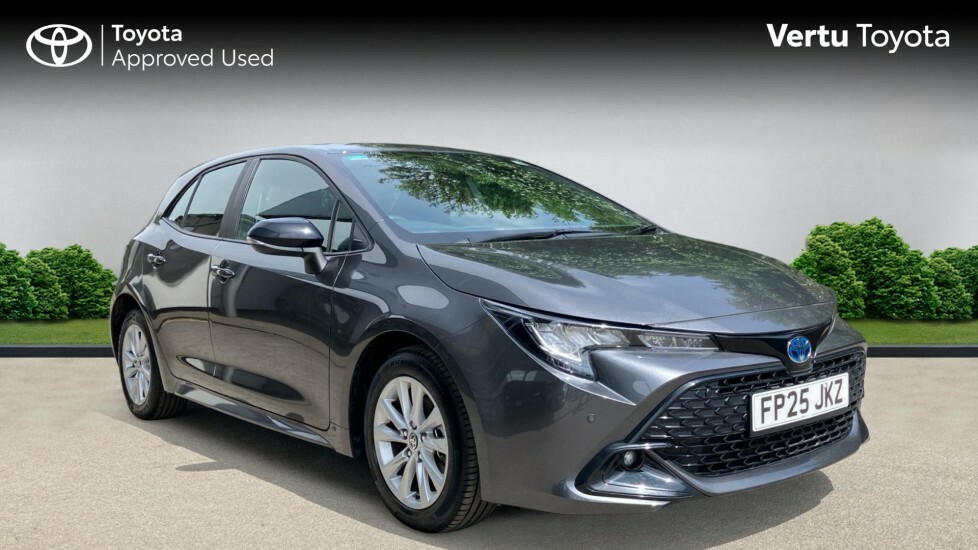 Toyota Corolla Icon Grey