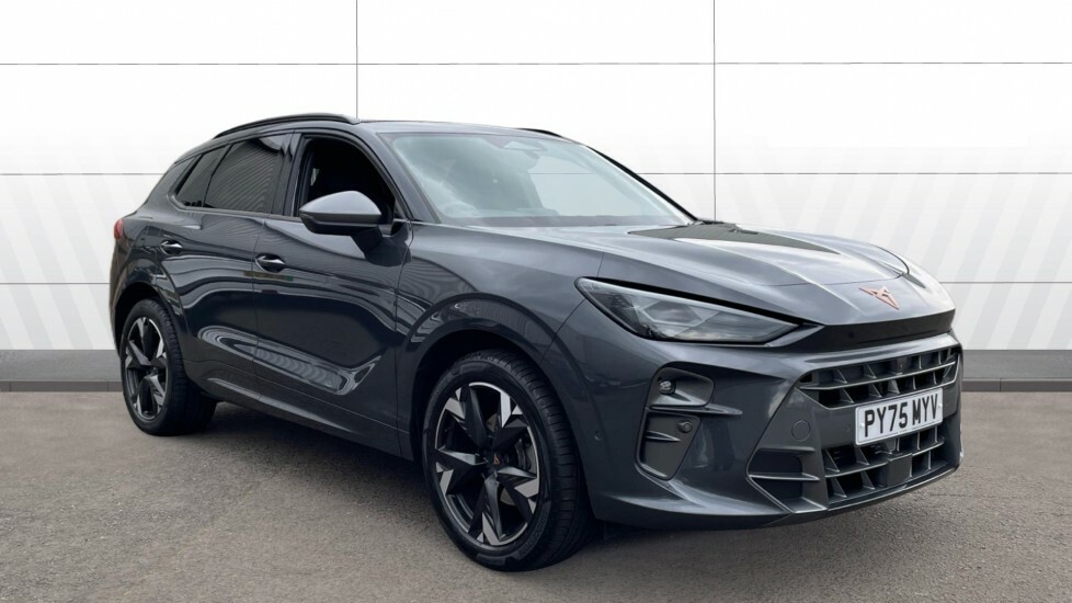 Cupra Terramar V2 Grey