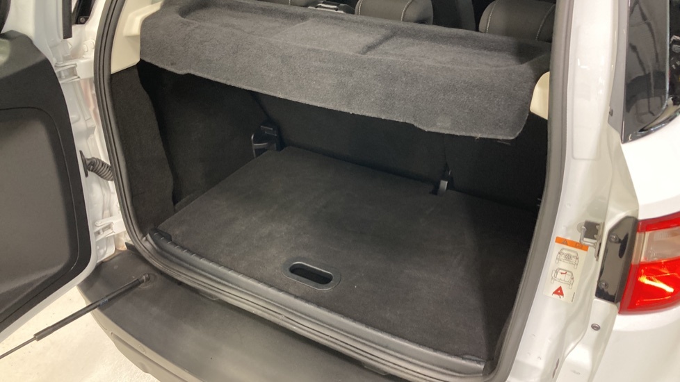 Ford Ecosport 1.0 Ecoboost 125 Titanium Grey #45