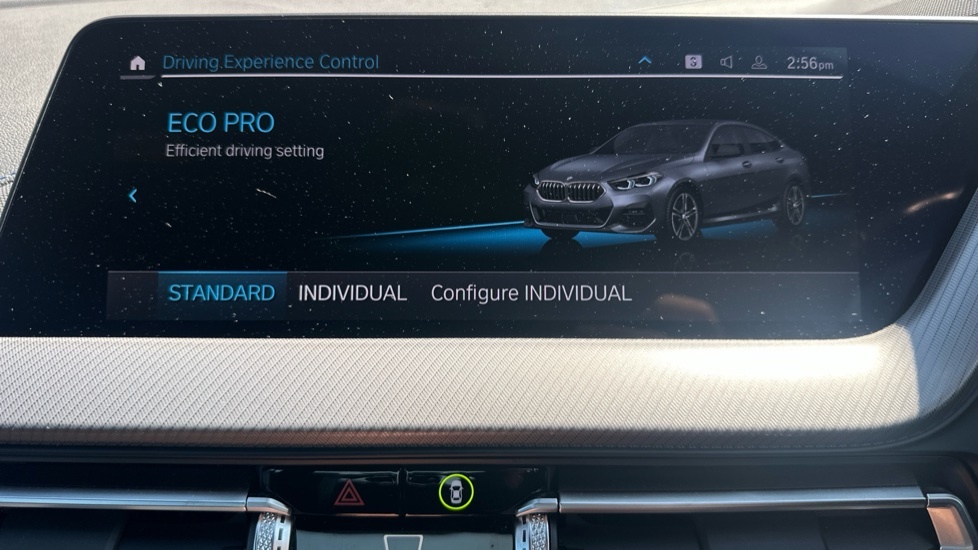 BMW 2 Series 1.5 218I M Sport Dct Euro 6 Ss Grey #52