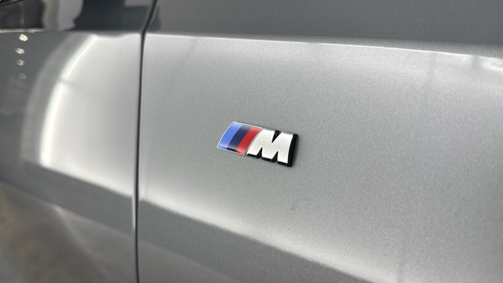BMW 3 Series 2.0 320I M Sport Euro 6 Ss Grey #31