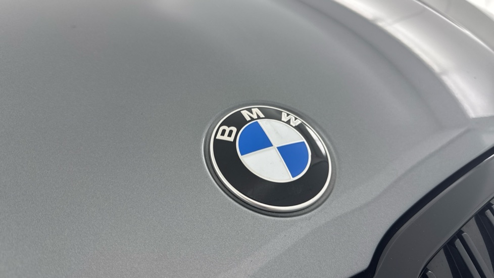 BMW 3 Series 2.0 320I M Sport Euro 6 Ss Grey #33
