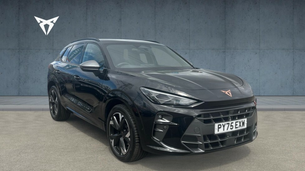 Cupra Terramar V2 Black