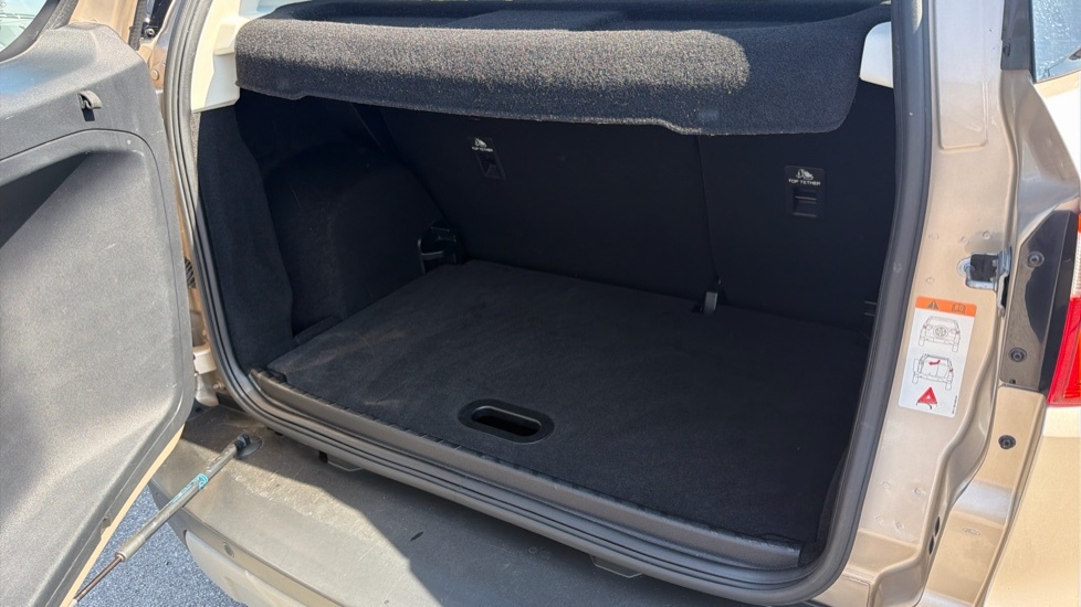 Ford Ecosport Titanium Beige #4