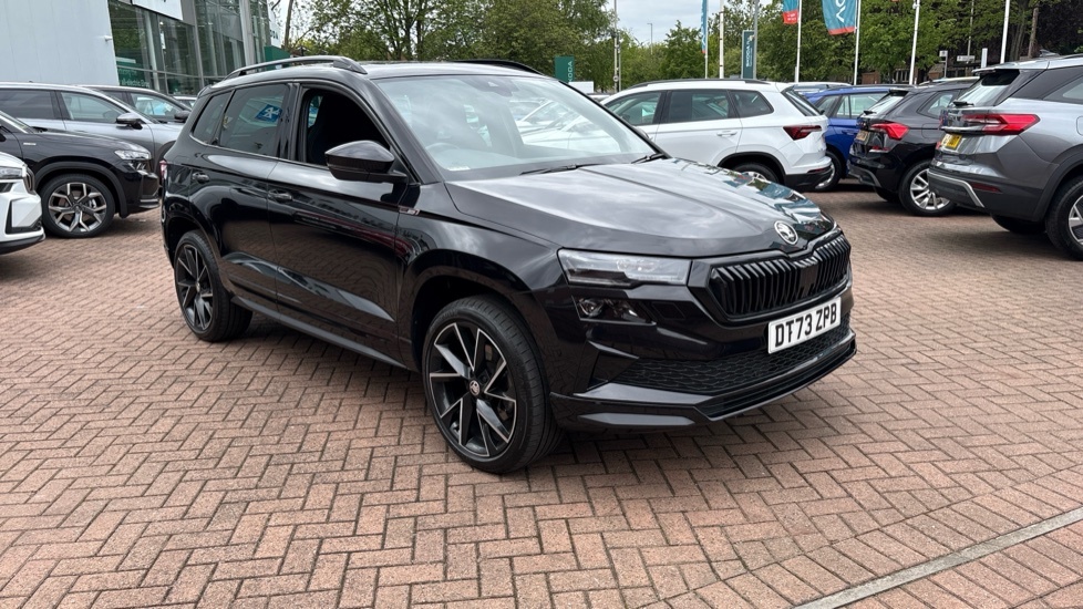 Skoda Karoq Se Drive 2.0 Tdi 116 Ps 6G Man Blue #25