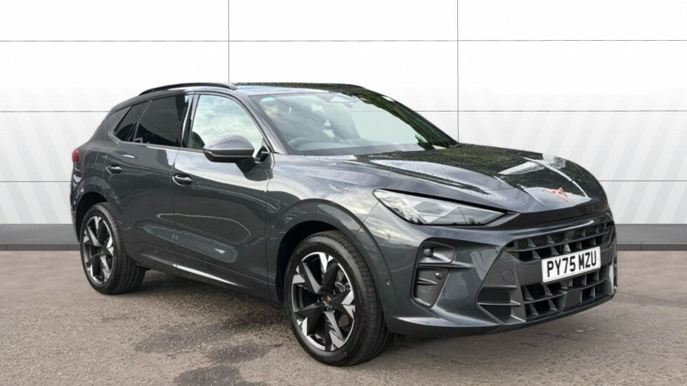 Cupra Terramar V2 Grey