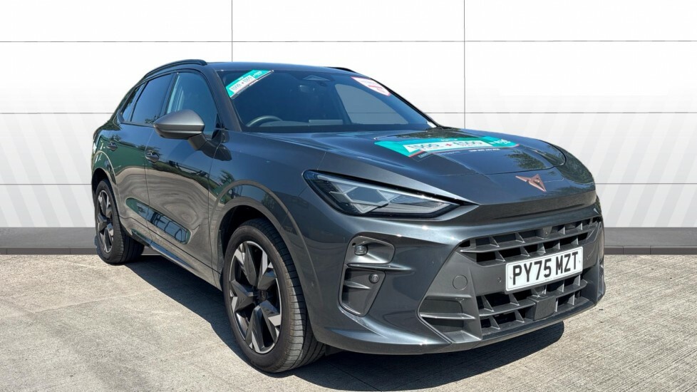 Cupra Terramar V2 Grey