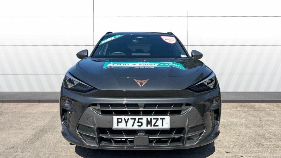 Cupra Terramar V2 Grey #3