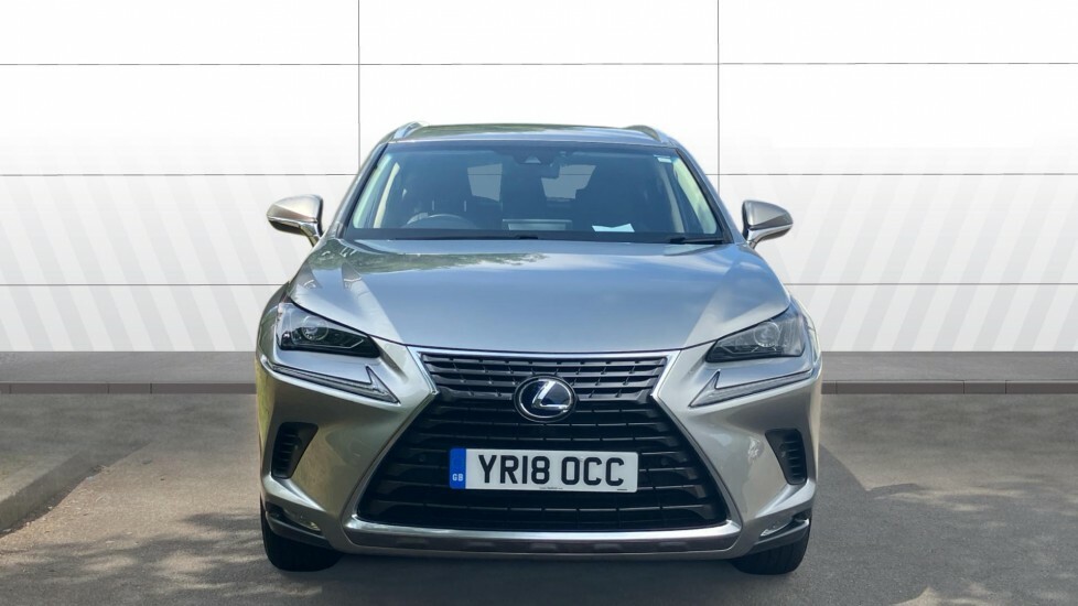 Lexus NX Luxury Silver #3