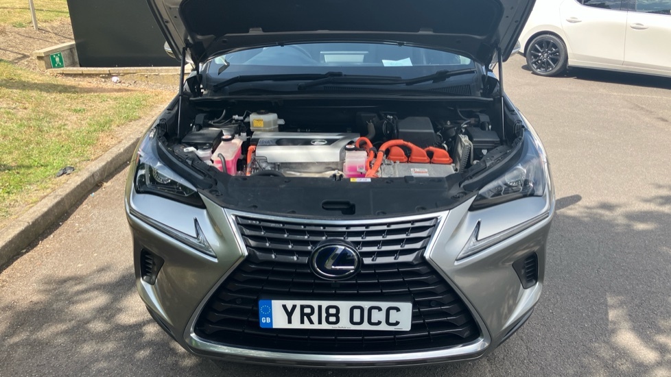 Lexus NX 2.5 F Sport Suv Hybrid E-cvt 4Wd Euro 6 Grey #8