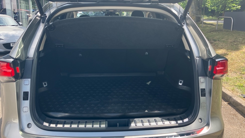 Lexus NX Luxury Silver #4