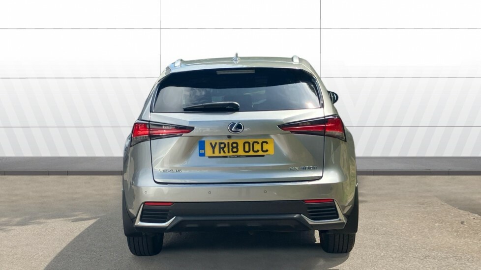 Lexus NX Luxury Silver #6