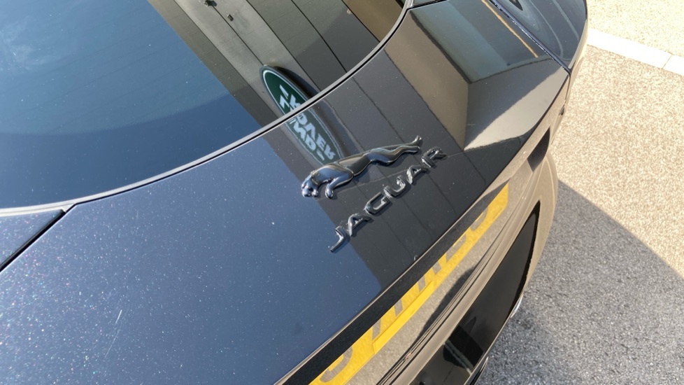 Jaguar F-Type Dynamic  #44