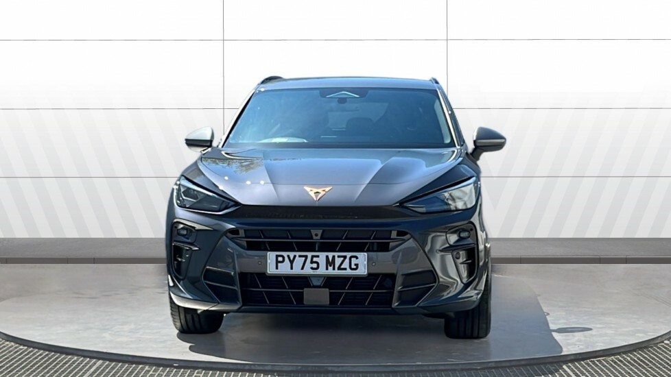 Cupra Terramar V2 Grey #3