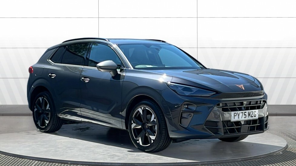 Cupra Terramar V2 Grey