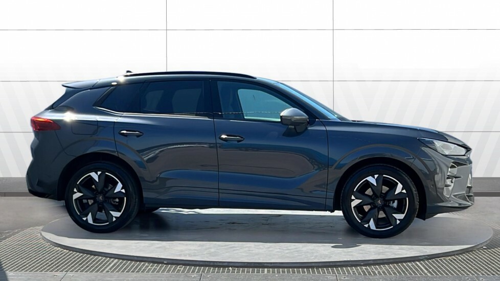 Cupra Terramar V2 Grey #5
