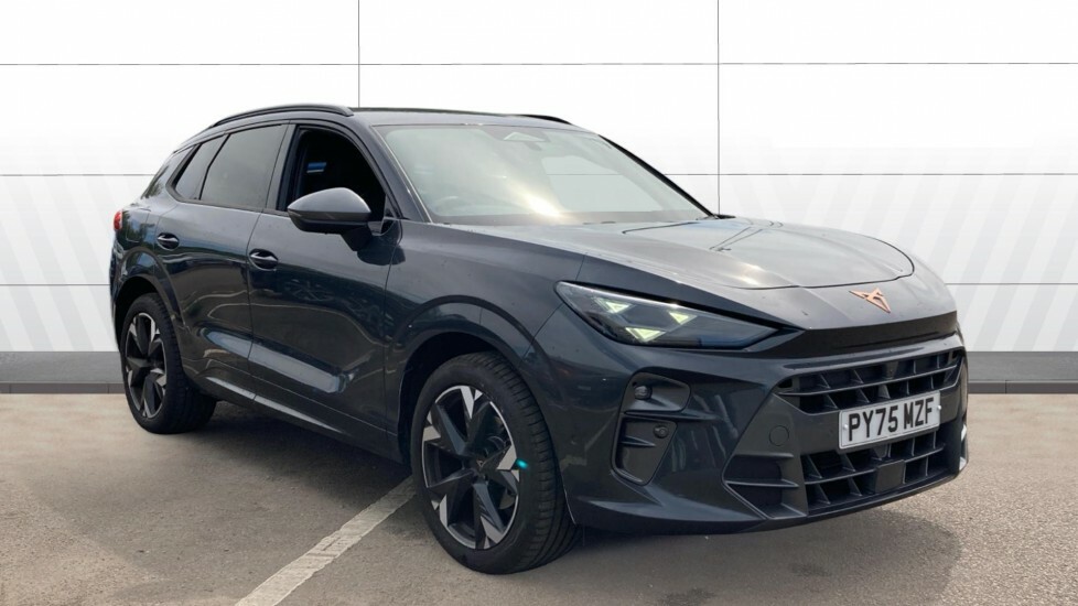 Cupra Terramar V2 Grey