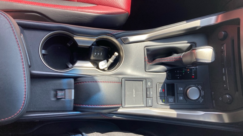 Lexus NX 300H Luxury 153 Silver #38