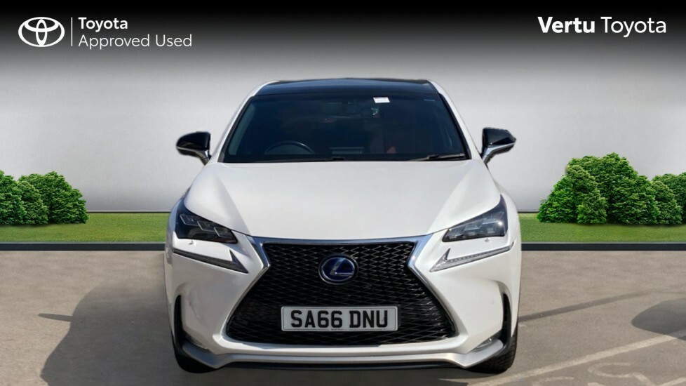 Lexus NX 300H Luxury 153 Silver #22