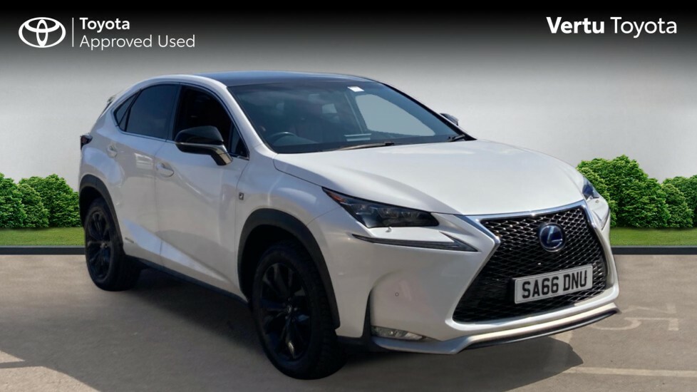 Lexus NX 300H Luxury 153 Silver #1