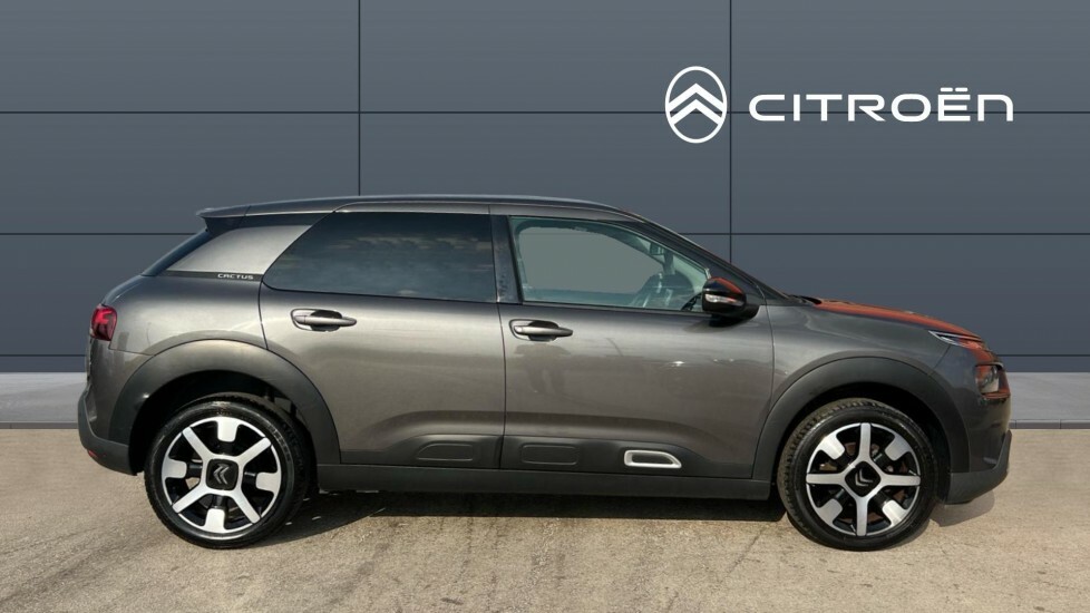 Citroen C4 Cactus Flair Grey #5