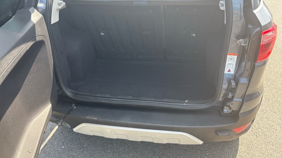 Ford Ecosport Titanium Grey #4