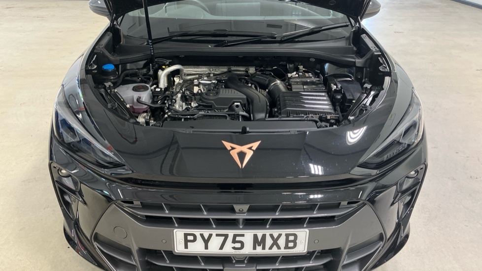 Cupra Terramar 1.5 Etsi V1 Dsg Euro 6 Ss  #8