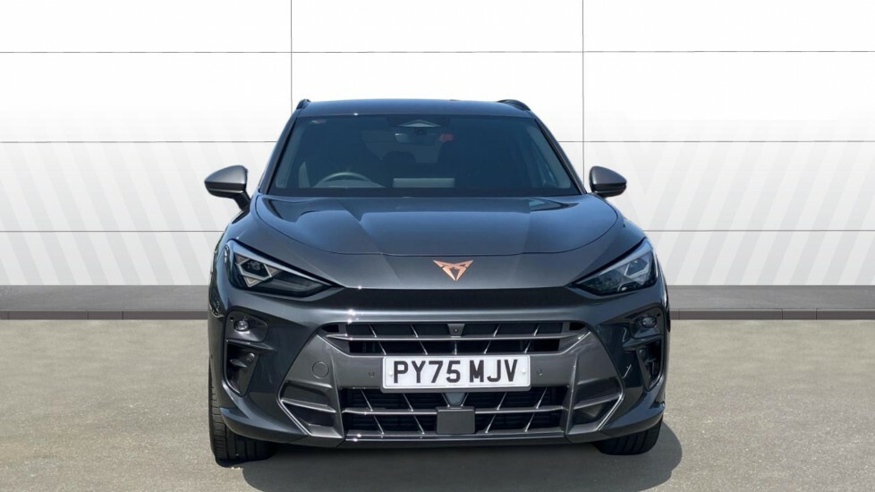 Cupra Terramar V2 Grey #3