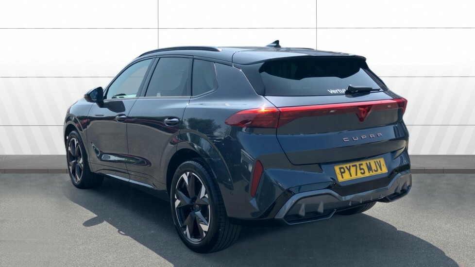 Cupra Terramar V2 Grey #2