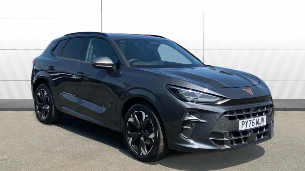 Cupra Terramar V2 Grey