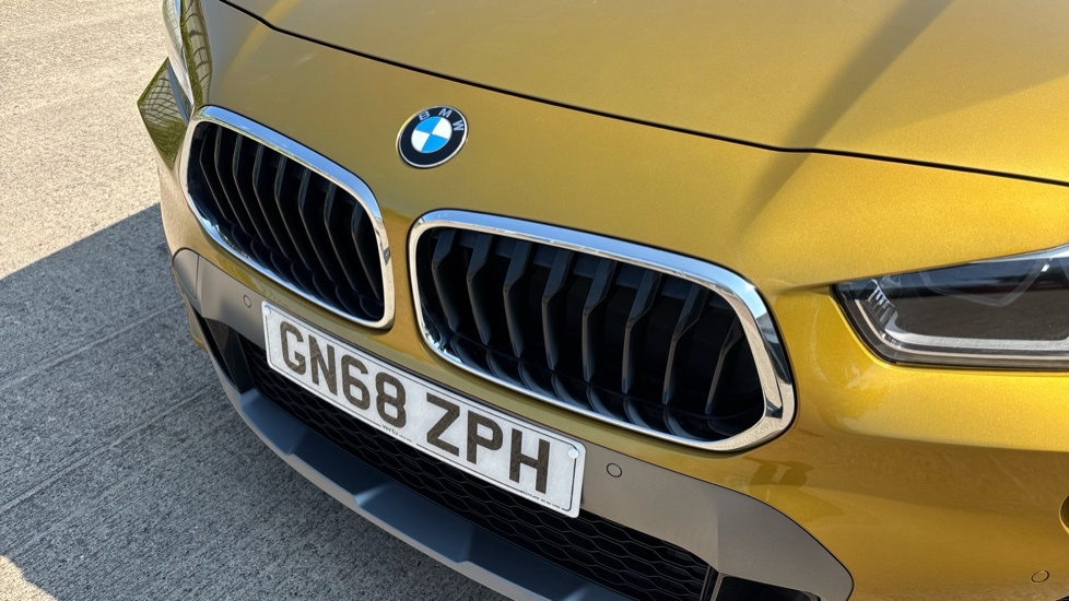BMW X2 Xdrive 20D M Sport Step Black #24