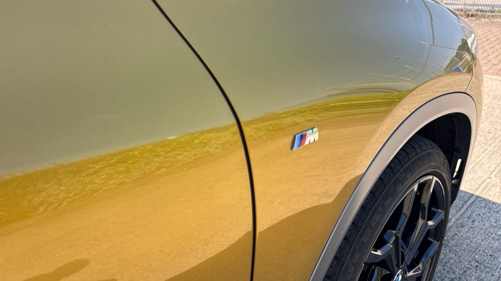 BMW X2 Xdrive 20D M Sport Step Black #38
