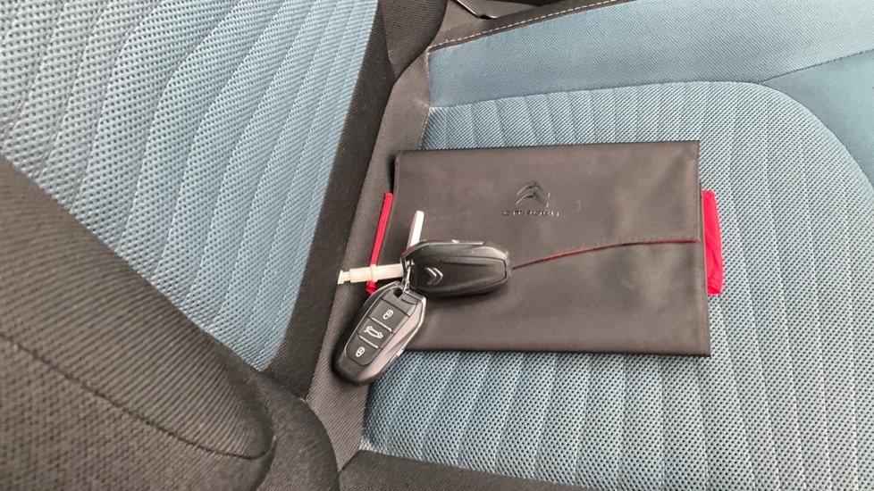 Citroen C4 Picasso Picasso Exclusive Grey #19