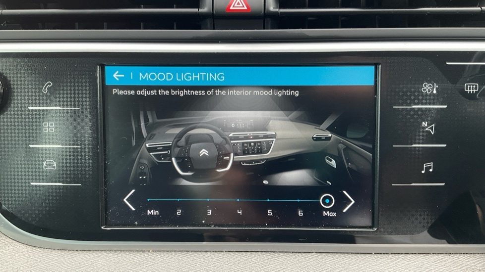 Citroen C4 Picasso Picasso Exclusive Grey #59