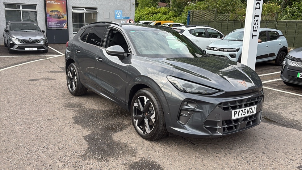 Cupra Terramar V2 Grey