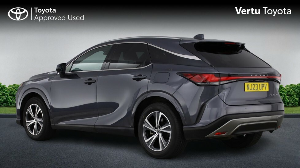Lexus RX Premium Plus Grey #2