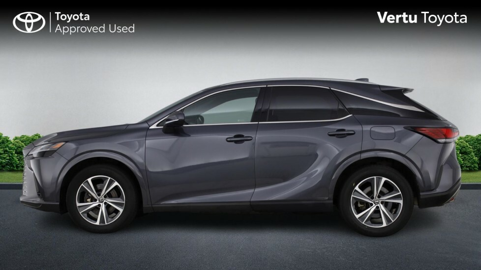 Lexus RX Premium Plus Grey #3