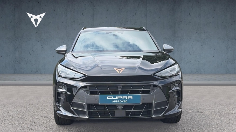 Cupra Terramar 2.0 Tsi 265 Americas Cup Edition Dsg 4Drive Grey #7