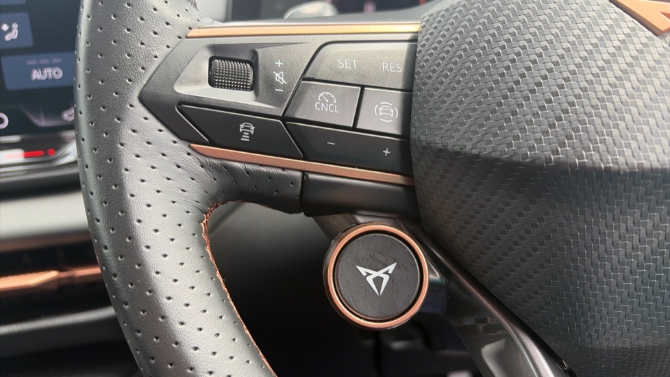 Cupra Terramar 2.0 Tsi 265 Americas Cup Edition Dsg 4Drive Grey #31